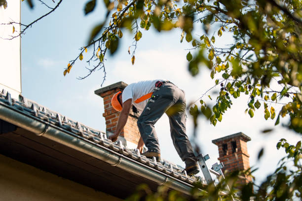 Best Flat Roof Repair Services  in Reno, OH