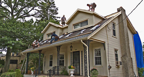 Best Roof Maintenance Services  in Reno, OH